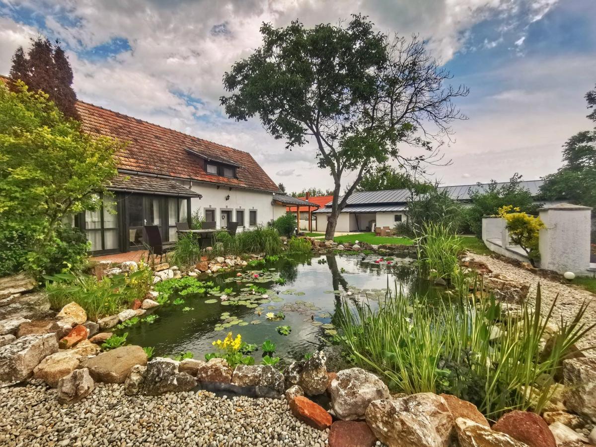 Videki Haz Lägenhet Tagyon Exteriör bild