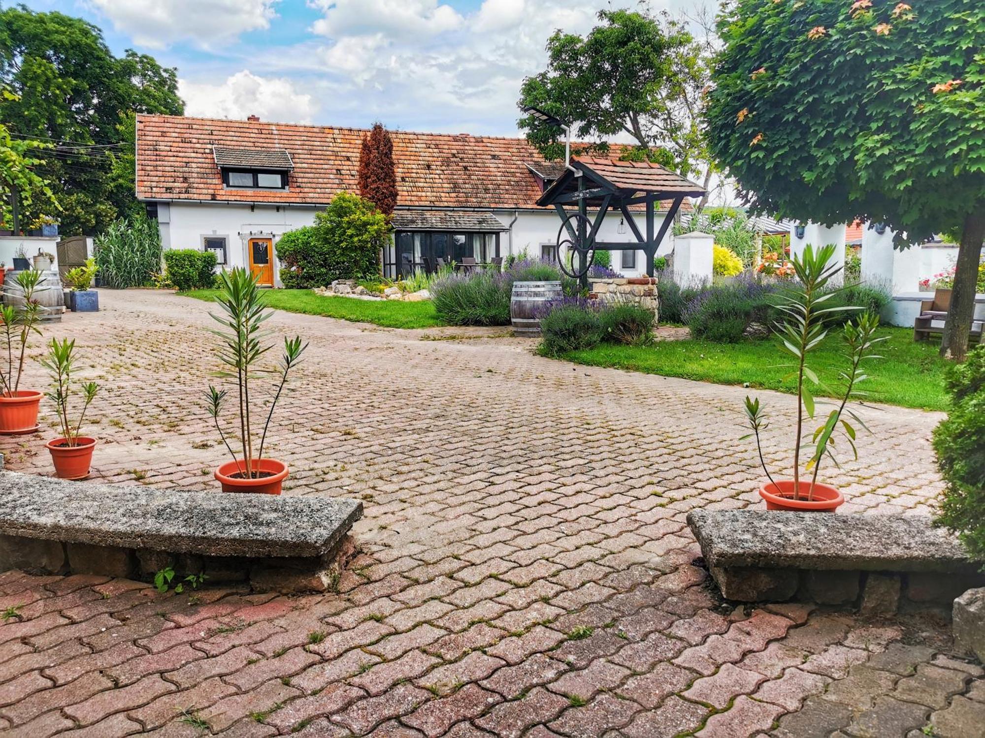 Videki Haz Lägenhet Tagyon Exteriör bild